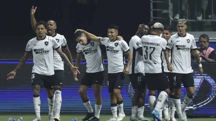 Botafogo vive grande temporada em 2024