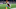 Antonio Gibson es un gran corredor de la NFL Antonio Gibson es un gran corredor de la NFL