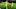 FBL-WC-2026-EUR-QUALIFIERS-BEL-WAL FBL-WC-2026-EUR-QUALIFIERS-BEL-WAL