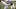 Minnesota Vikings Minnesota Vikings