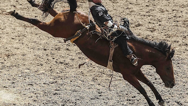 Mandatory Credit: Troy Babbitt-Imagn Images