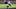 Las Vegas Raiders running back Ashton Jeanty, Fantasy Football 