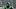 Oregon ducks jerseys uniforms speed hayward field dakorien moore khyree jackson spencer webb phil knight nike Oregon ducks jerseys uniforms speed hayward field dakorien moore khyree jackson spencer webb phil knight nike