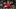 Boston Red Sox left fielder Jarren Duran Boston Red Sox left fielder Jarren Duran