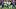 Oregon Ducks Washington Huskies Rivalry