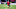 Bayer 04 Leverkusen v FC Bayern Muenchen - Bundesliga Bayer 04 Leverkusen v FC Bayern Muenchen - Bundesliga