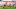 NY Jets, George Kittle NY Jets, George Kittle