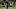 Jose Mourinho Jose Mourinho