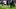 Anthony Gordon and Javier Aguirre Anthony Gordon and Javier Aguirre