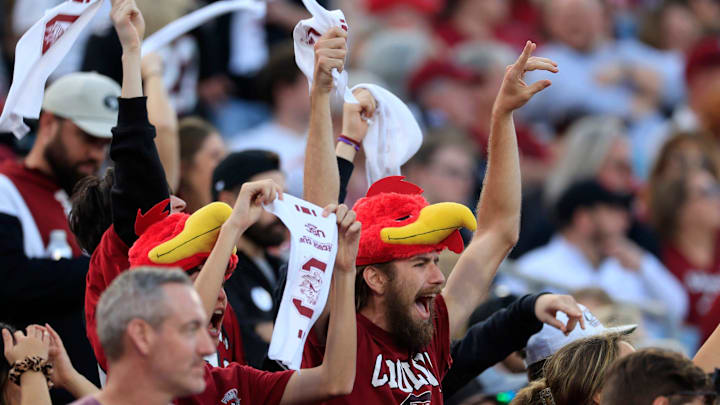 South Carolina football fans