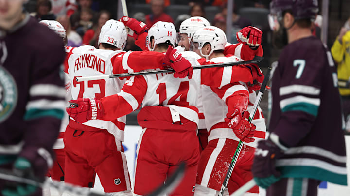 Detroit Red Wings celebrate a goal against  the Anaheim Ducks.