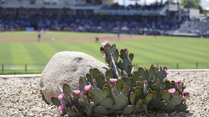 Los Angeles Dodgers v Texas Rangers
