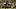 Pittsburgh Steelers cornerback Joey Porter Jr. Pittsburgh Steelers cornerback Joey Porter Jr.