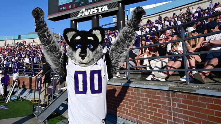 Sep 20, 2025; Pullman, Washington, USA; Washington Huskies mascot Harry the Husky celebrates a touchdown against the Washington State Cougars in the first half of Apple Cup at Gesa Field at Martin Stadium. Mandatory Credit: James Snook-Imagn Images Sep 20, 2025; Pullman, Washington, USA; Washington Huskies mascot Harry the Husky celebrates a touchdown against the Washington State Cougars in the first half of Apple Cup at Gesa Field at Martin Stadium. Mandatory Credit: James Snook-Imagn Images