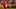 Patrick Mahomes Patrick Mahomes