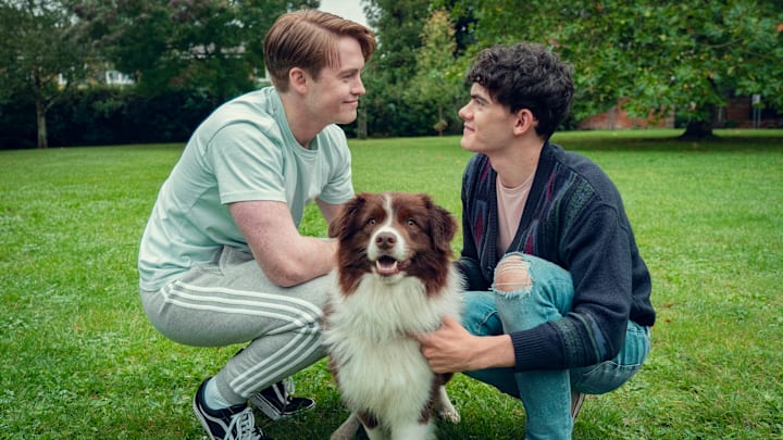 Heartstopper - Netflix