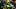 Oregon Ducks quarterback Dante Moore Oregon Ducks quarterback Dante Moore