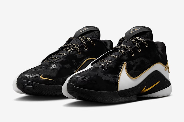 lebron 16 dicks sporting goods