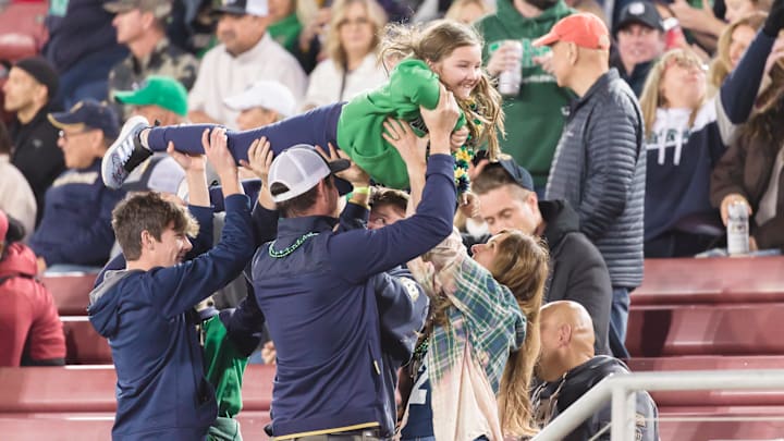 Notre Dame football fans celebrate a score
