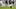 Chicago Bears quarterback Caleb Williams. Chicago Bears quarterback Caleb Williams.