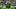 oregon ducks uniforms brandon finney j oregon ducks uniforms brandon finney j