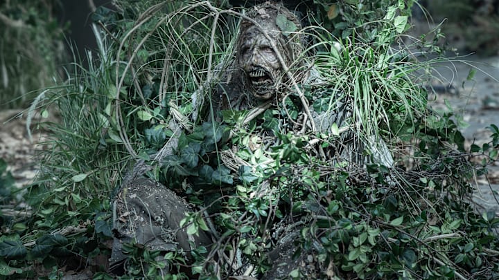 A Walker from The Walking Dead: Daryl Dixon season 3