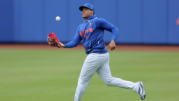 Soto regresó nuevamente al roster de los Mets 