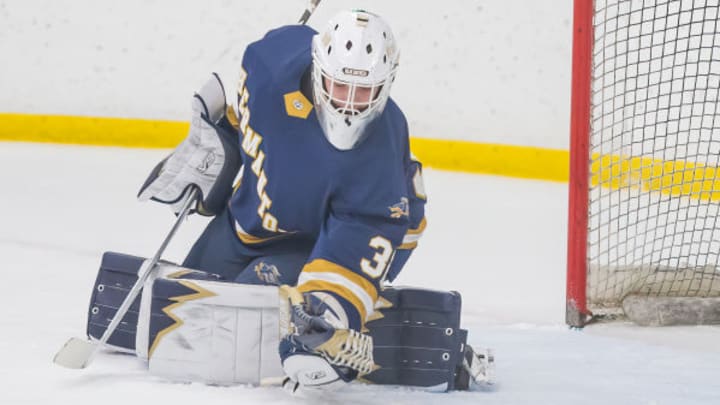 Hermantown is the top team in Class 1A Hermantown is the top team in Class 1A