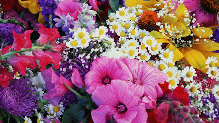 Those little packets keep your flowers fresh.