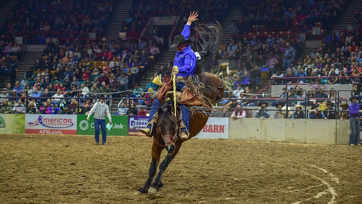 Saddle bronc riding at the National Western Stock Show