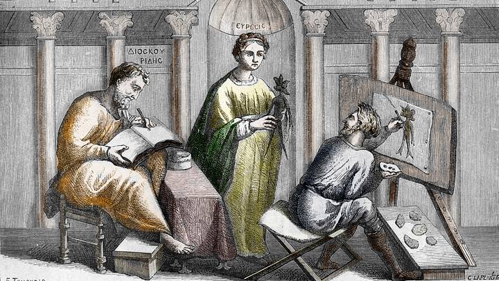Dioscorides receives a mandrake root Dioscorides receives a mandrake root