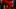 Dec 29, 2023; Memphis, TN, USA; Iowa State Cyclones mascot Cy the cardinal cheers during the first half against the Memphis T Dec 29, 2023; Memphis, TN, USA; Iowa State Cyclones mascot Cy the cardinal cheers during the first half against the Memphis T