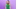 LIB_S9_MEGAN_W_7166_R2