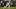 New England Patriots running back Corey Kiner New England Patriots running back Corey Kiner