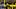 LSU quarterback Sam Leavitt LSU quarterback Sam Leavitt
