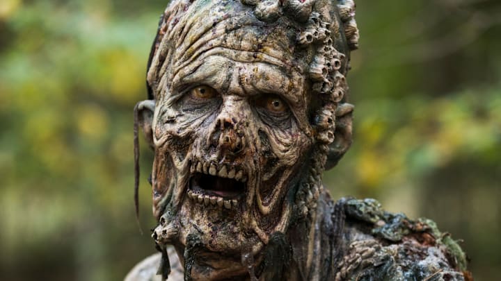 Walker - The Walking Dead _ Season 7, Episode 15 - Photo Credit: Gene Page/AMC