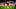 Achillesverse der Bayern: Josip Stanisic Achillesverse der Bayern: Josip Stanisic