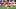 Folarin Balogun, Weston McKennie Folarin Balogun, Weston McKennie