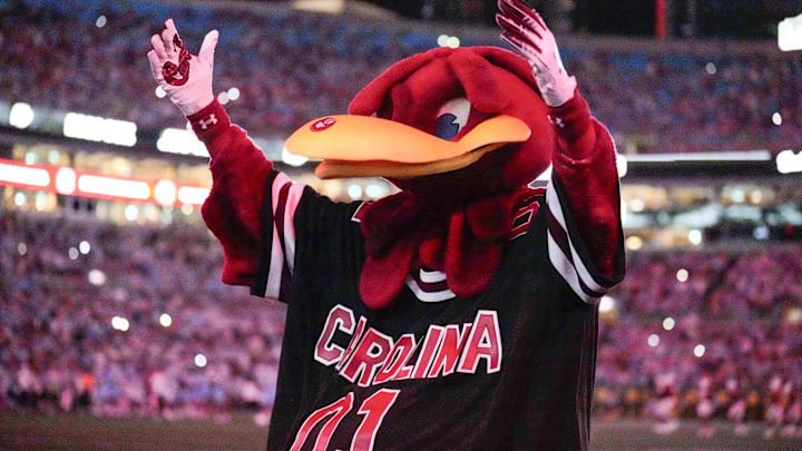 South Carolina football mascot Cocky