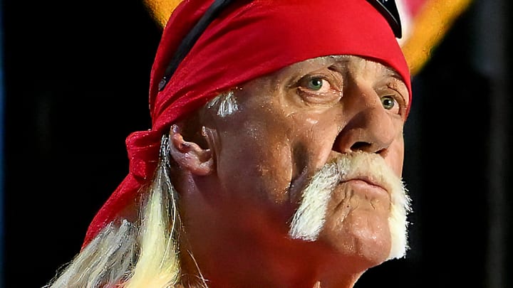 Hulk Hogan Hulk Hogan