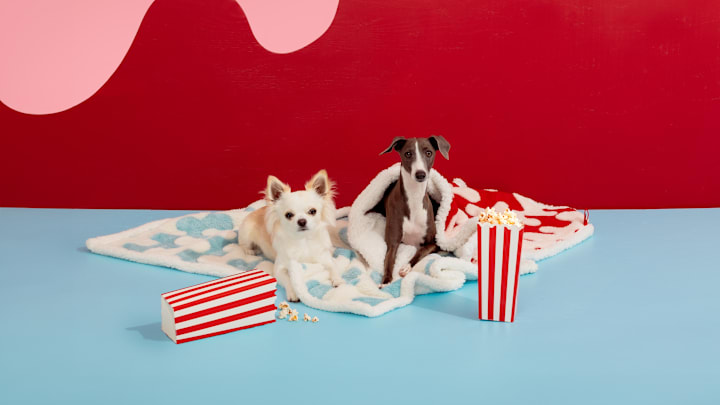 Lesure Debuts New Stylish Pet Bed & Blanket Prints