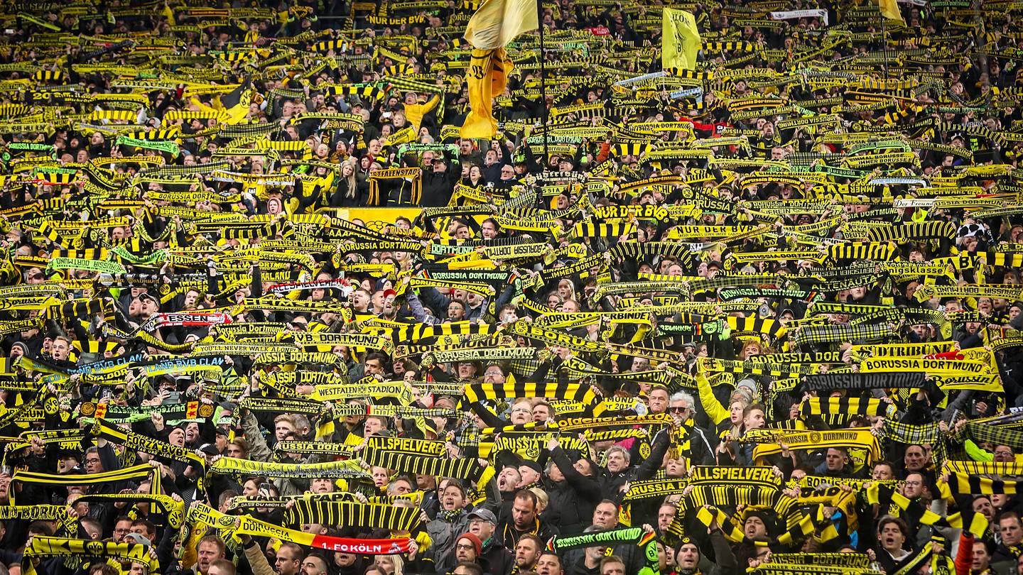 Puma BORUSSIA DORTMUND MIT VIERTELLANGEM REISSVERSCHLUSS - Maillot de foot - yellow- black/jaune Puma BORUSSIA DORTMUND MIT VIERTELLANGEM REISSVERSCHLUSS - Maillot de foot - yellow- black/jaune