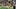 Takari Hickle (44)