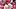 St. Louis Cardinals pitcher Riley O'Brien St. Louis Cardinals pitcher Riley O'Brien