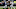 NY Jets, Zach Wilson NY Jets, Zach Wilson