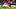 England v Czechia - UEFA Nations League - League Phase - Group A3 - Wembley Stadium