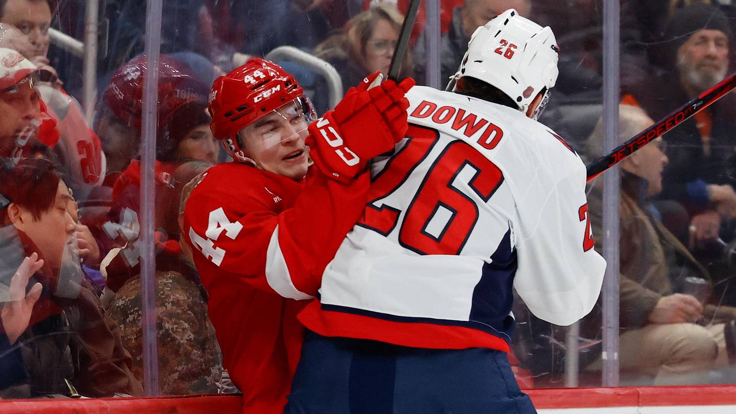 Red Wings rookie has a lot to improve on next season