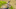 shrek_still_sq1970-sc31-f200_31