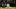 Houston Astros left fielder Jacob Melton Houston Astros left fielder Jacob Melton