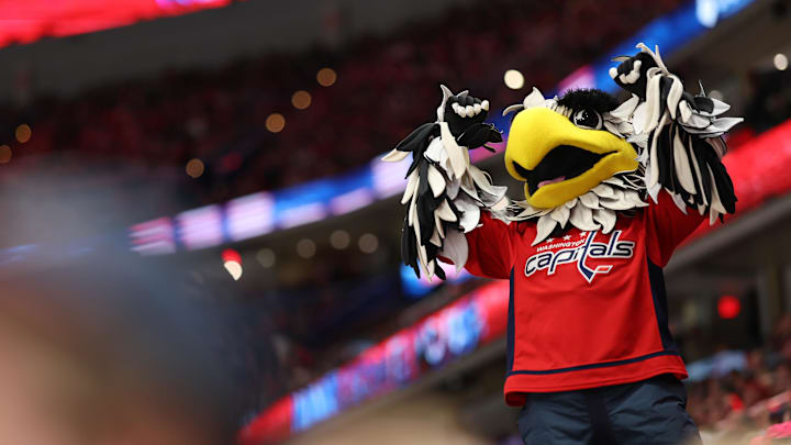 Slapshot, Washington Capitals Mandatory Credit: Geoff Burke-Imagn Images